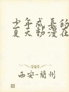 少年成长的那个夏天动漫在线观看