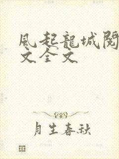 风起龙城阅读全文全文
