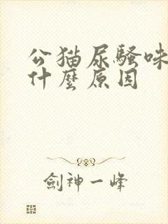 公猫尿骚味大是什么原因封面