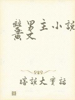 双男主小说多人黄文封面