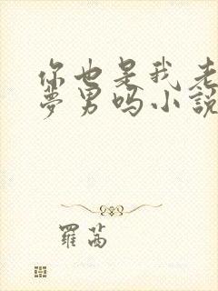 你也是我老婆的梦男吗小说封面