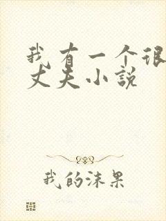 我有一个很好的丈夫小说