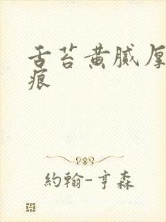 舌苔黄腻厚有齿痕