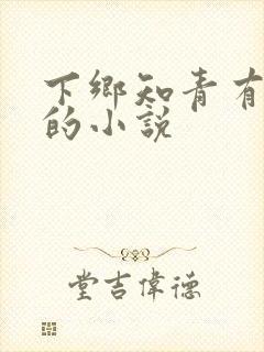 下乡知青有空间的小说封面