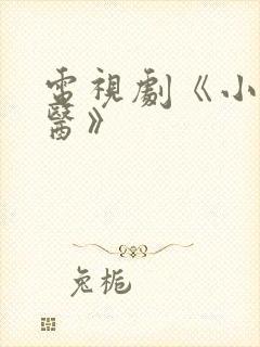 电视剧《小伙中医》