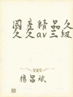 国产精品久久久久久av三级