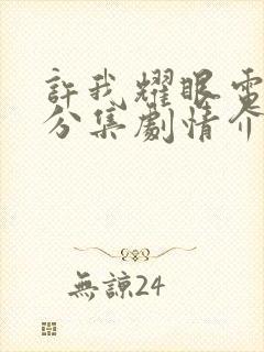 许我耀眼电视剧分集剧情介绍