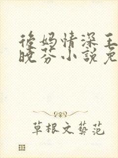 后妈情深王磊杨晓芬小说免费阅读全文