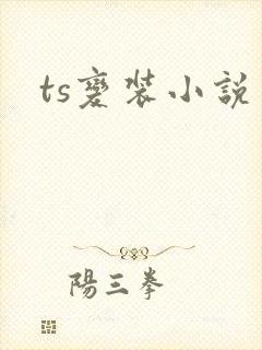 ts变装小说封面