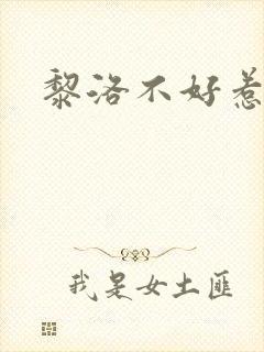 黎洛不好惹小说封面