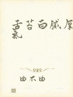 舌苔白腻厚有口气