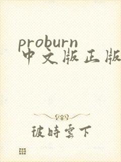 proburn中文版正版下载封面