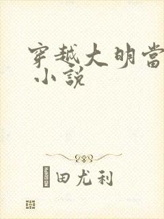 穿越大明当崇祯 小说