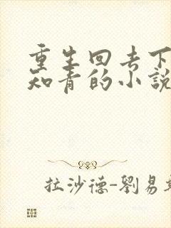 重生回去下乡做知青的小说