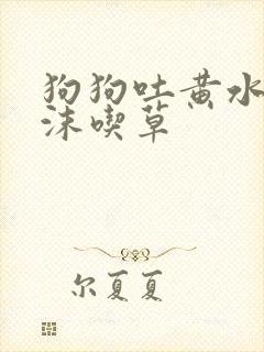 狗狗吐黄水带泡沫吃草