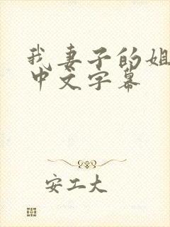 我妻子的姐姐3中文字幕