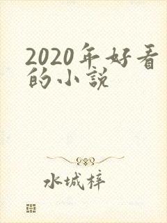 2020年好看的小说