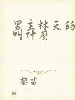 男主林天的小说叫什么