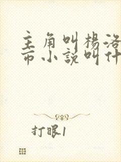 主角叫杨洛的都市小说叫什么名字