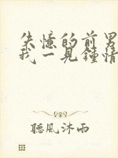 失忆的前男友对我一见钟情