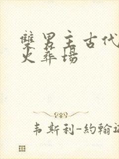 双男主古代追妻火葬场封面