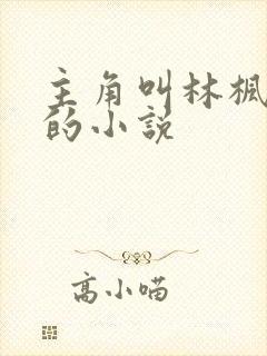 主角叫林枫穿越的小说