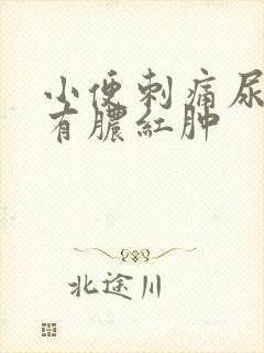 小便刺痛尿道口有脓红肿