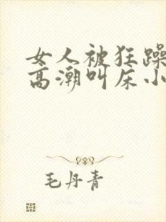 女人被狂躁c到高潮叫床小说