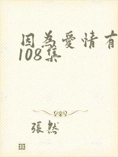 因为爱情有多美108集封面