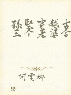 孙坚穿越古代娶三个老婆合集