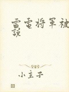 雷电将军被艹小说封面