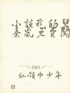 小说我的儿媳是秦岚免费阅读