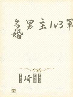 多男主1v3军婚