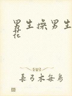 男生操男生的菊花