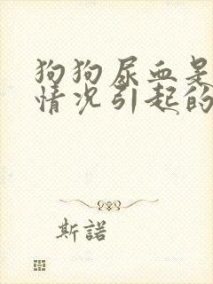 狗狗尿血是什么情况引起的