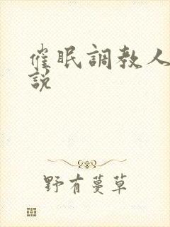 催眠调教人妻小说封面