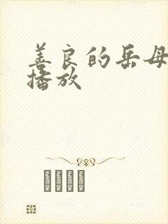 善良的岳母在线播放