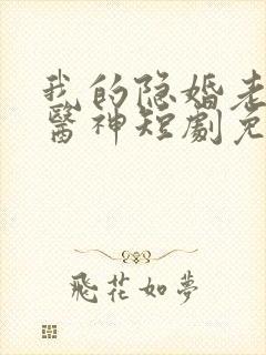 我的隐婚老婆是医神短剧免费观看