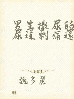 男生撒尿的时候尿道刺痛还尿血封面