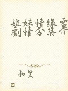 姐妹情缘电视剧剧情分集介绍封面