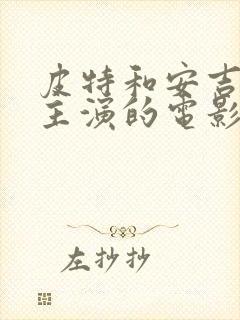 皮特和安吉丽娜主演的电影