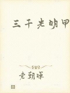 三千光明甲