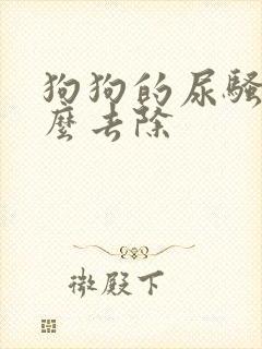 狗狗的尿骚味怎么去除封面