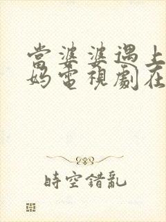 当婆婆遇上的妈妈电视剧在线观看