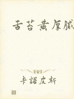 舌苔黄厚腻是封面