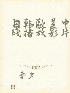 日韩欧美中文在线播放影片