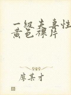 一级夫妻性生活黄色裸片