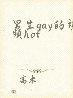 男生gay的视频hot