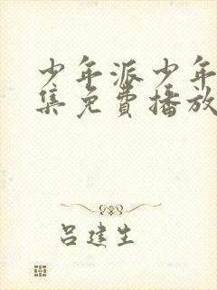 少年派少年派全集免费播放