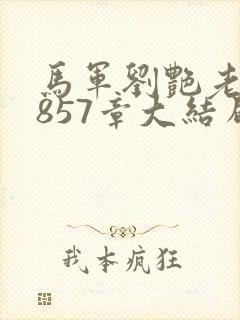 马军刘艳老师第857章大结局封面